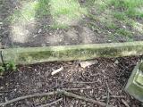 image of grave number 478757